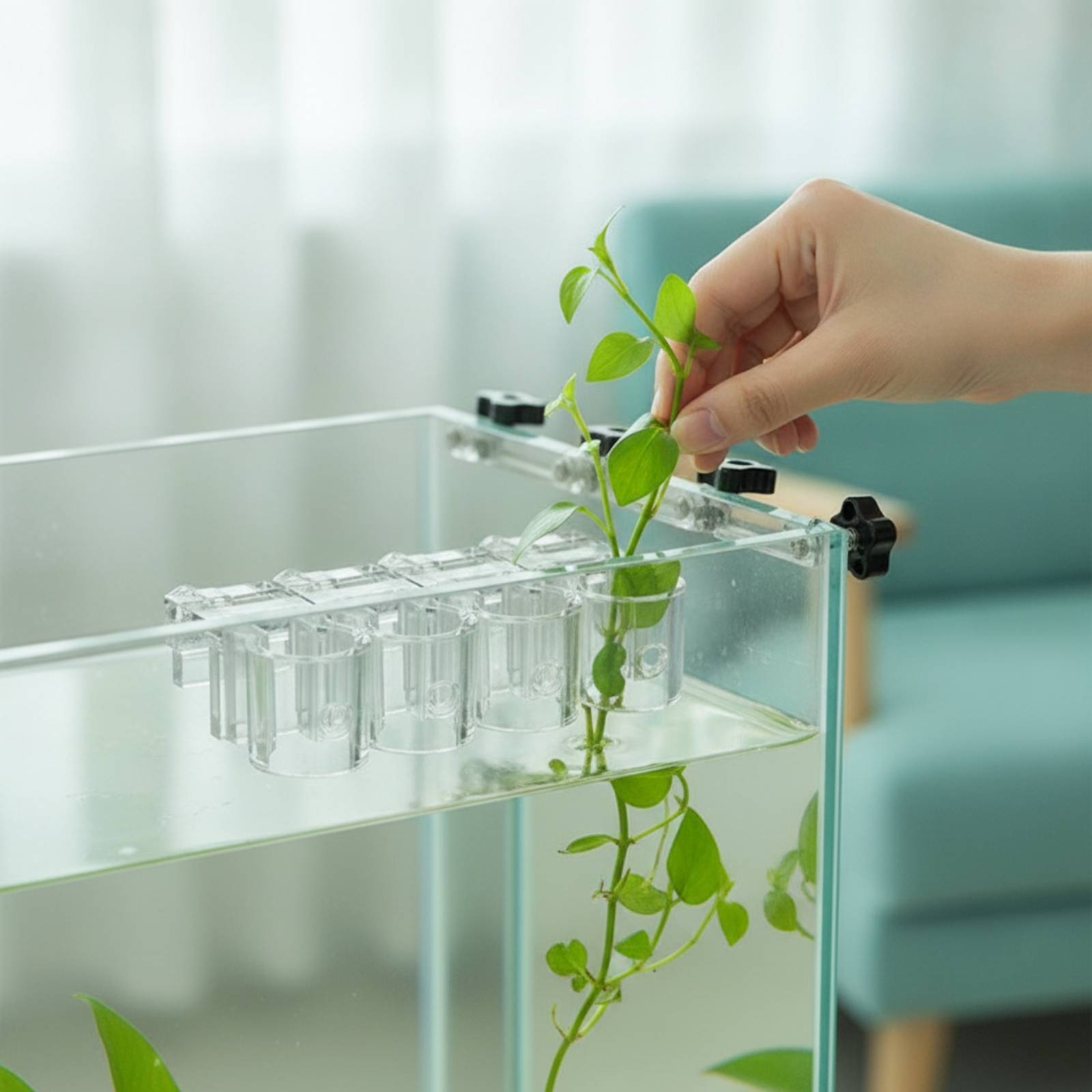 Набор из 6 прозрачных гидропон – обзор и цена Aquarium Plants