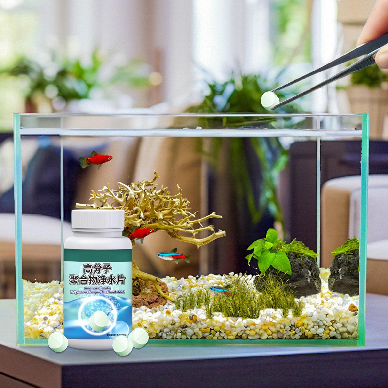 Таблетки для удаления водоросл – обзор и цена Fish Aquarium Home