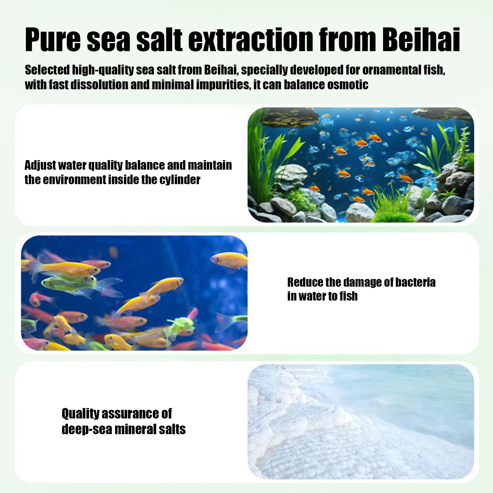Таблетки для удаления водоросл – обзор и цена Fish Aquarium Home