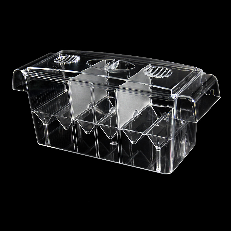 Прозрачная изоляционная коробк – обзор и цена Betta Fish Tank