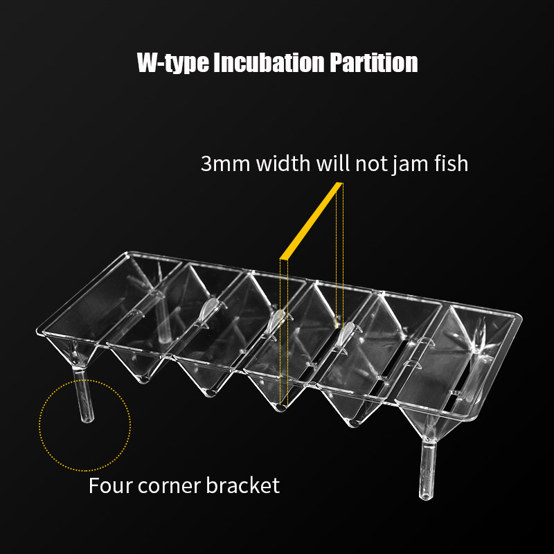 Прозрачная изоляционная коробк – обзор и цена Betta Fish Tank