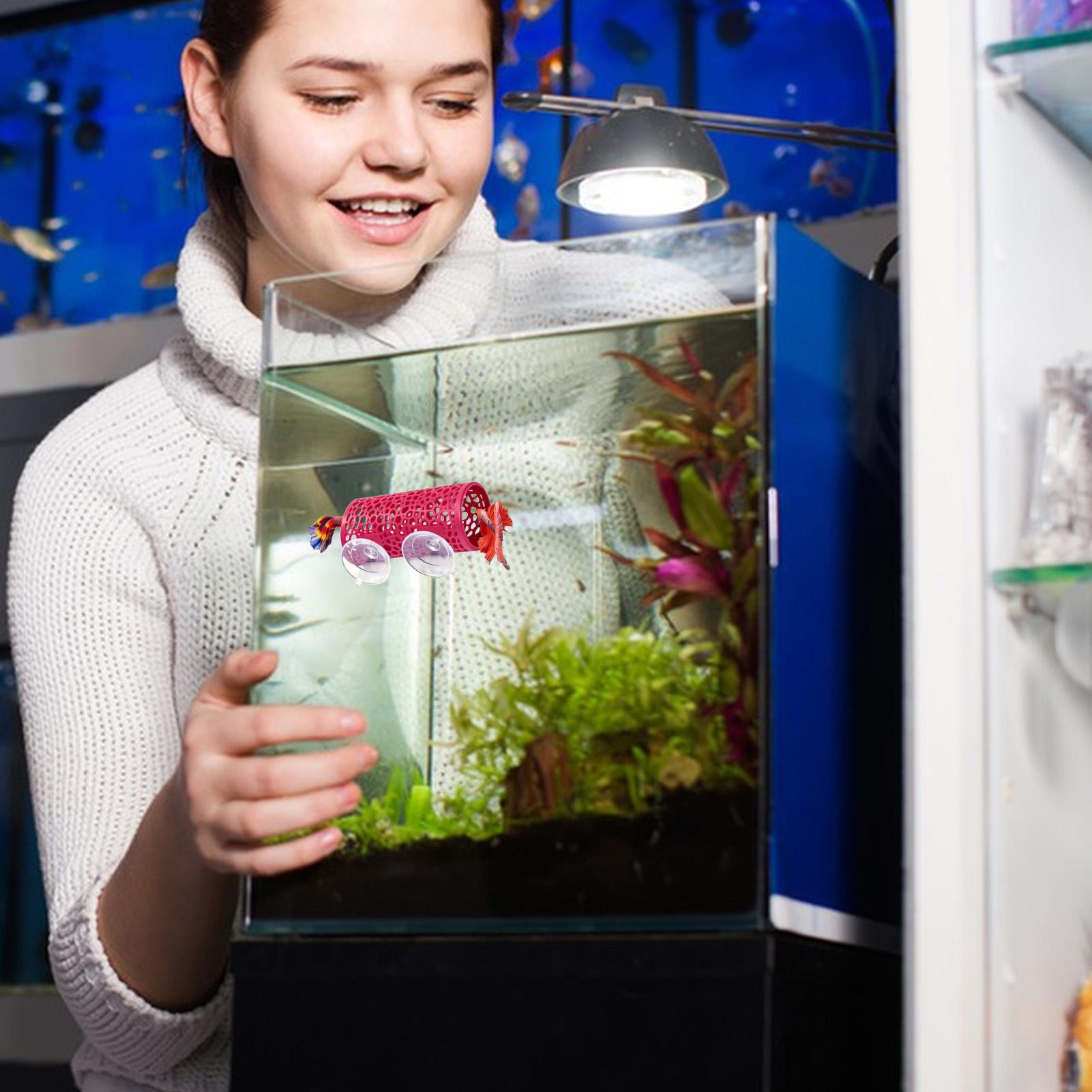 Уютное убежище-туннель для рыб – обзор и цена Aquarium Fish Betta