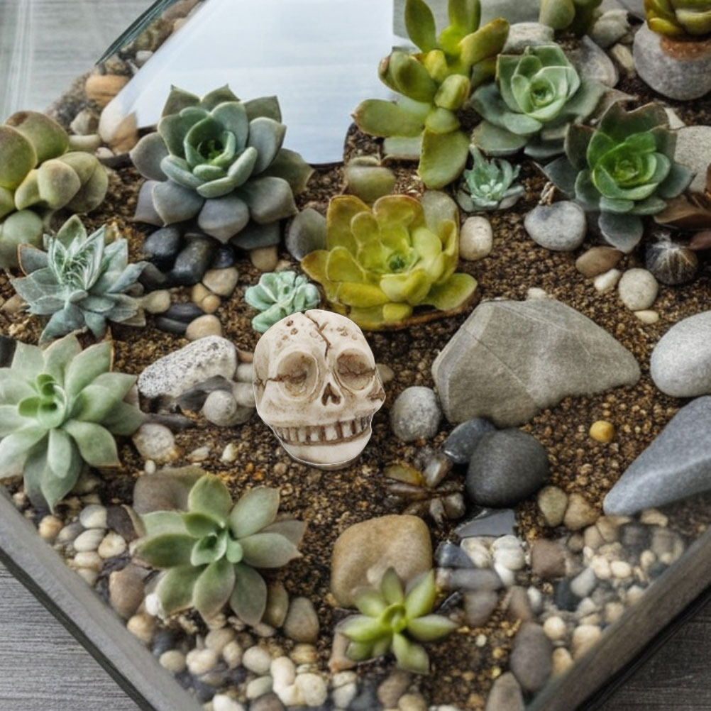 20 шт. уличных декоративных фи – обзор и цена Aquarium Decor