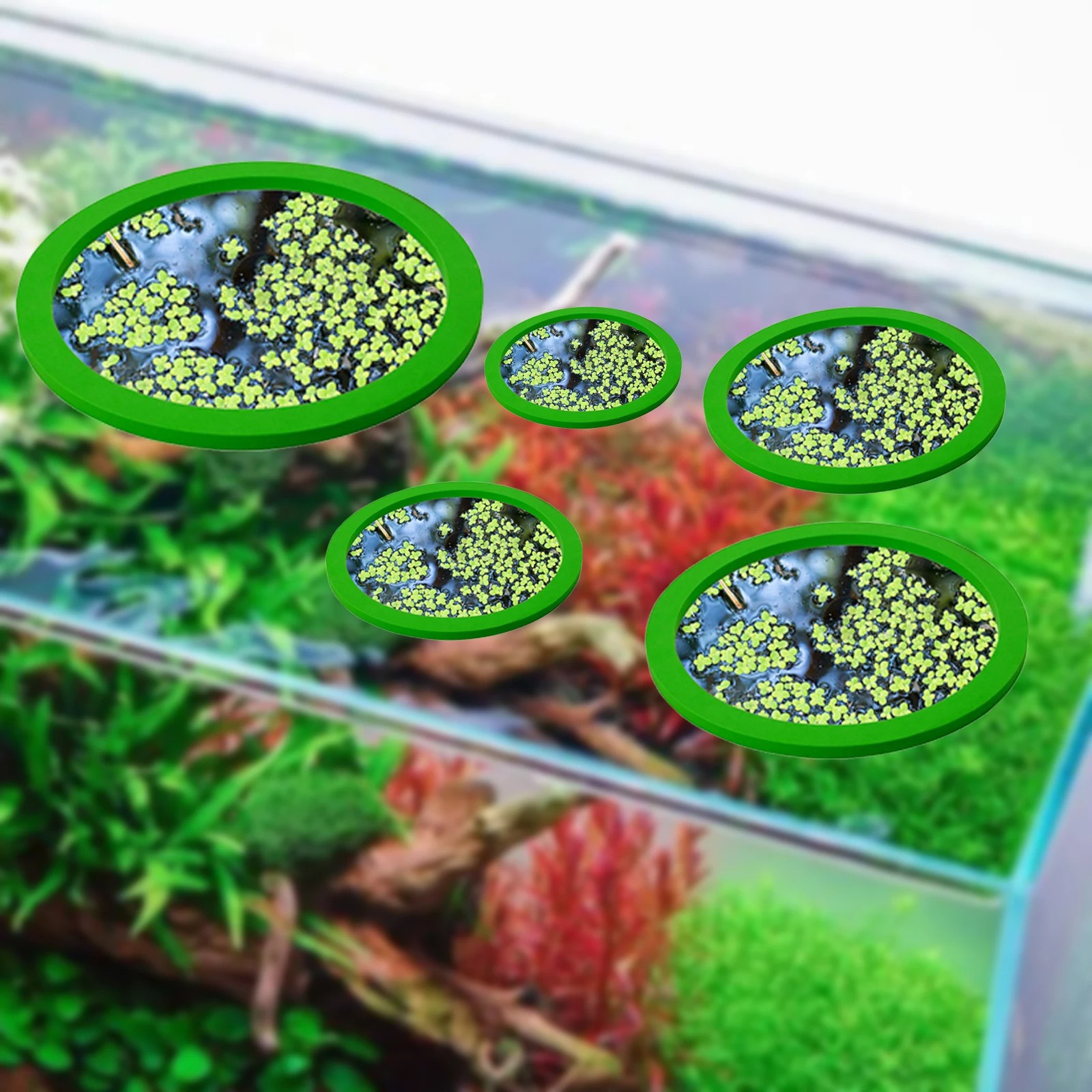 5 шт., кольцо для кормления ры – обзор и цена Aquarium Plants