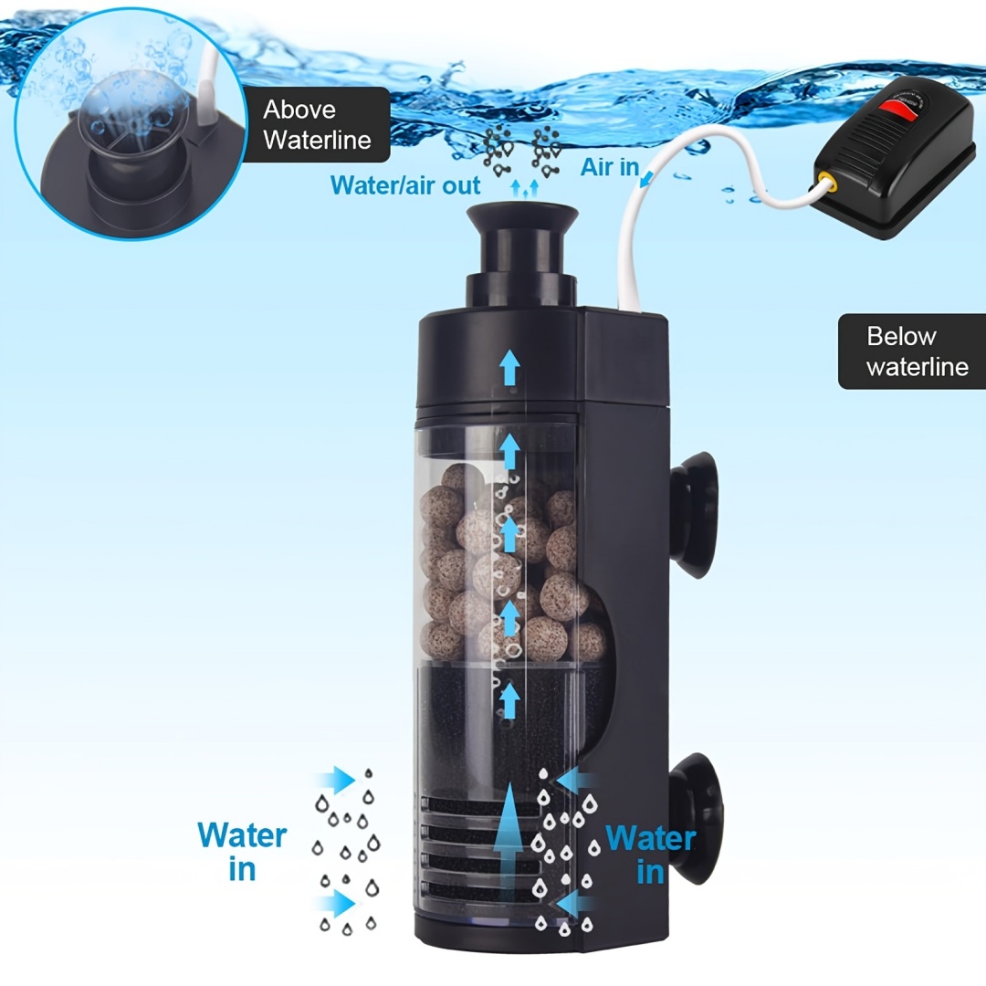 Компактный настенный биогубчат – обзор и цена Aquarium Fish Betta