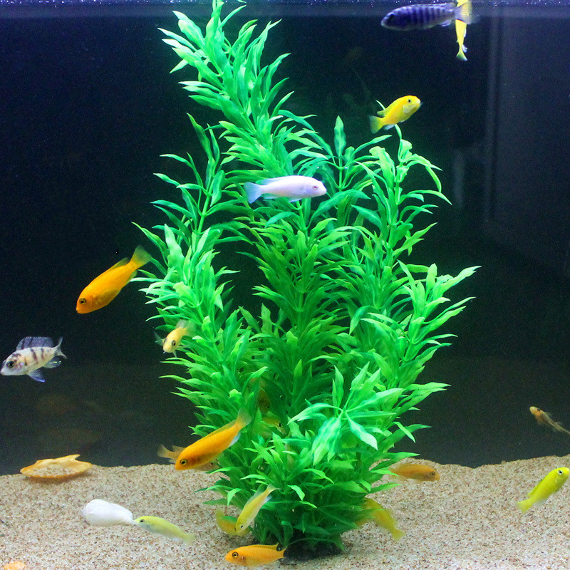 50 см искусственный аквариум р – обзор и цена Fish Aquarium Home