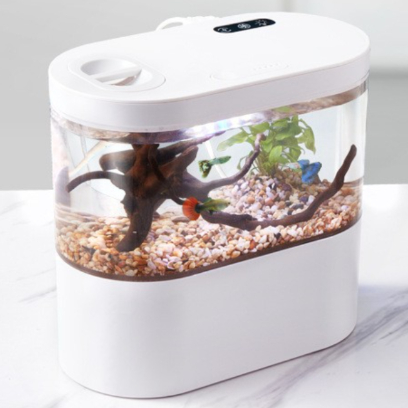 Креативный мини-аквариум для р – обзор и цена Aquarium Fish Betta