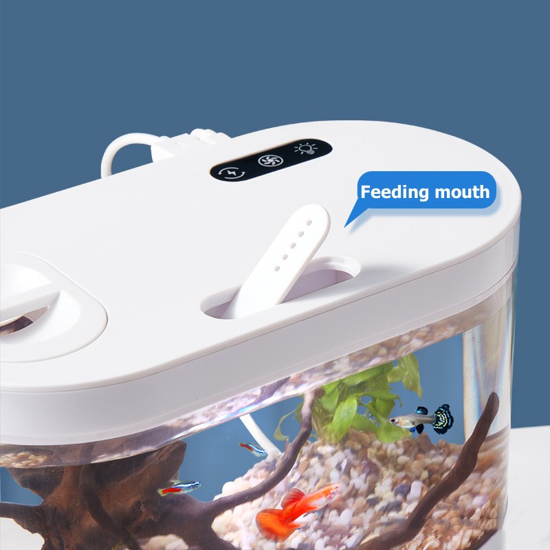 Креативный мини-аквариум для р – обзор и цена Aquarium Fish Betta